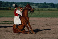 741094 Puszta, Hungary A4 Photo Print