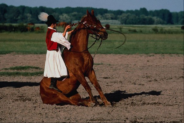 741094 Puszta, Hungary A4 Photo Print