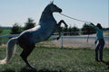 741095 Rural Manitoba A4 Photo Print