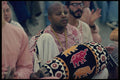 742081 Hari Krishna A4 Photo Print