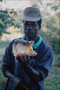 743054 Tiger Fish, Namibia A4 Photo Print