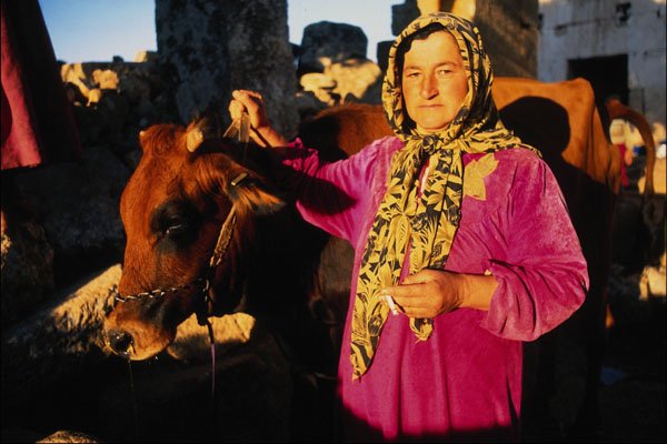 743074 Peasant Woman, Northern Syria A4 Photo Print