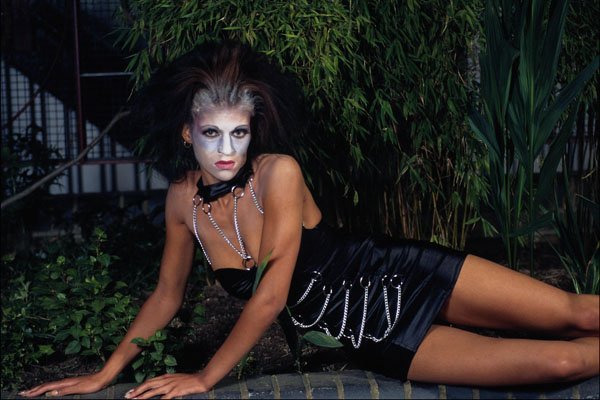743077 Sharon, Midnight Lady A4 Photo Print