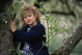 745056 Young Girl Sitting In Tree, Apple Orchard In Spring A4 Photo Print