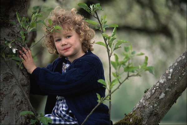 745056 Young Girl Sitting In Tree, Apple Orchard In Spring A4 Photo Print