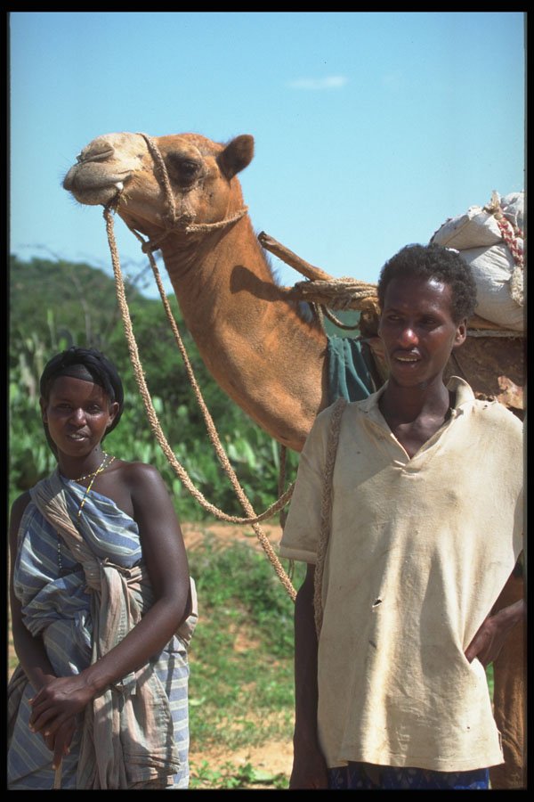 747098 Couple With Camel Near Hadar A4 Photo Print