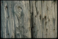 750005 Fence Post Close up A4 Photo Print
