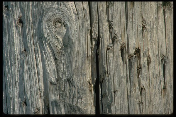 750005 Fence Post Close up A4 Photo Print