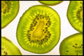 750010 Kiwi Fruit A4 Photo Print