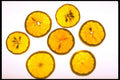 750012 Sliced Oranges A4 Photo Print