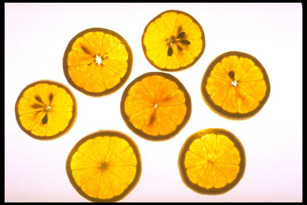 750012 Sliced Oranges A4 Photo Print
