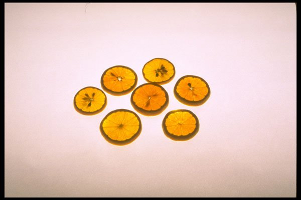 750013 Sliced Oranges A4 Photo Print