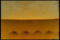 750015 Beer A4 Photo Print