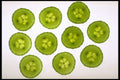 750018 Cucumbers A4 Photo Print
