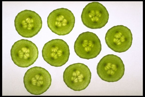 750018 Cucumbers A4 Photo Print