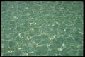 750024 Water A4 Photo Print