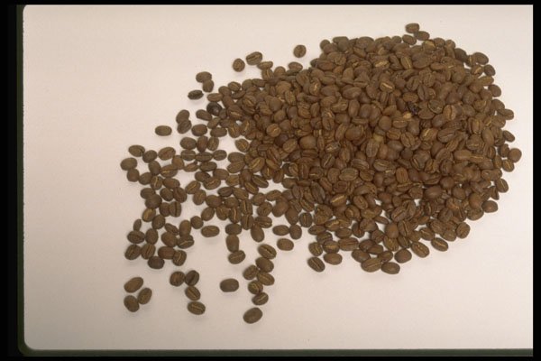 750043 Coffee Beans A4 Photo Print