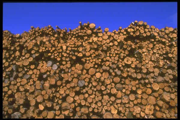 750046 Cornerbrook Lumber A4 Photo Print