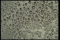 750051 Water Droplets A4 Photo Print