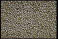 750053 Quinoa A4 Photo Print