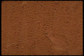 750054 Clay Pot A4 Photo Print
