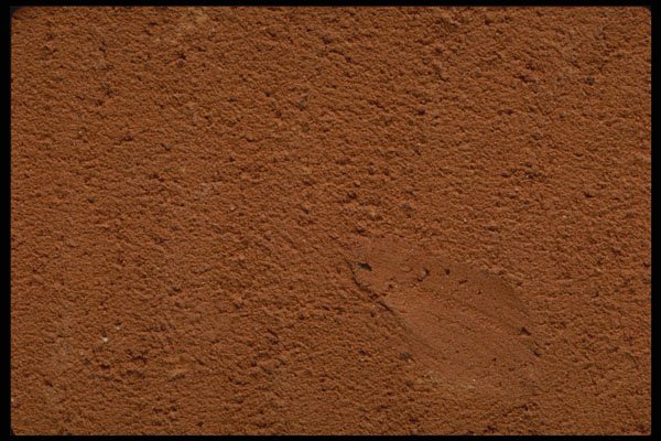 750054 Clay Pot A4 Photo Print
