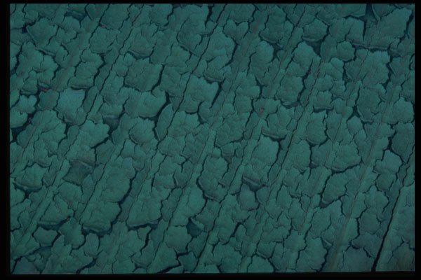 750056 Green Pattern A4 Photo Print