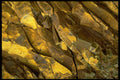 750057 Close up Of Rock Formations, Cascades, Washington State, U.S.A. A4 Photo Print