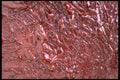 750060 Alizarin Oil Paint Texture A4 Photo Print
