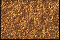750061 Cork Board A4 Photo Print