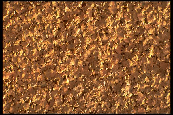 750061 Cork Board A4 Photo Print