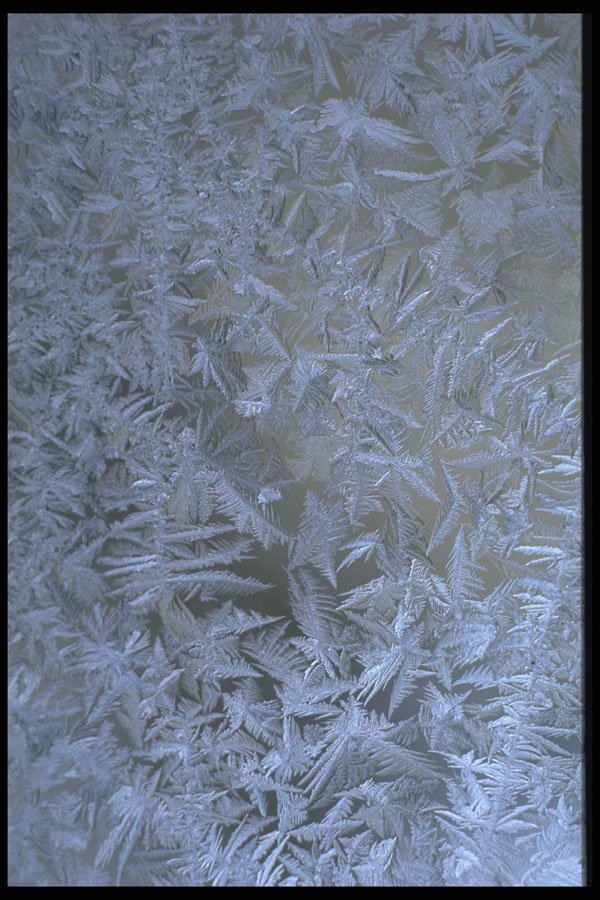 750063 Winter Frost A4 Photo Print