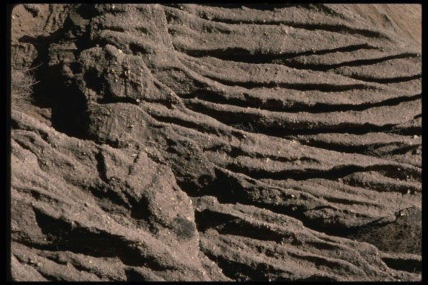 750064 Beach Cliff Erosion Textures, San Clemente, U.S.A. A4 Photo Print