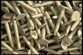 750068 Nails A4 Photo Print