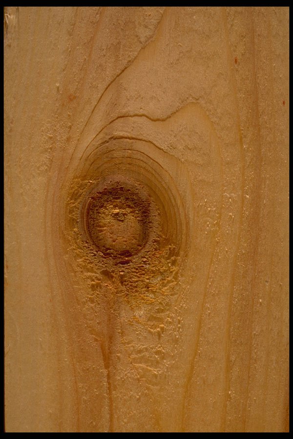 750073 Knot In Wood A4 Photo Print