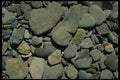 750076 Pebbles A4 Photo Print