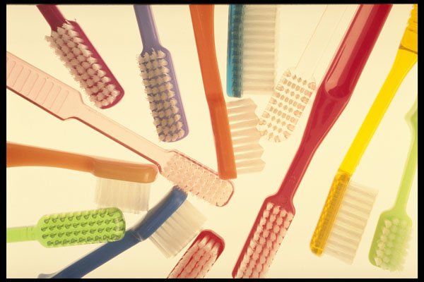 750083 Toothbrushes A4 Photo Print