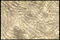 750087 Paperclips A4 Photo Print