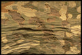 751002 Rippled Tree Bark A4 Photo Print