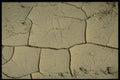 751006 Cracked Mud A4 Photo Print