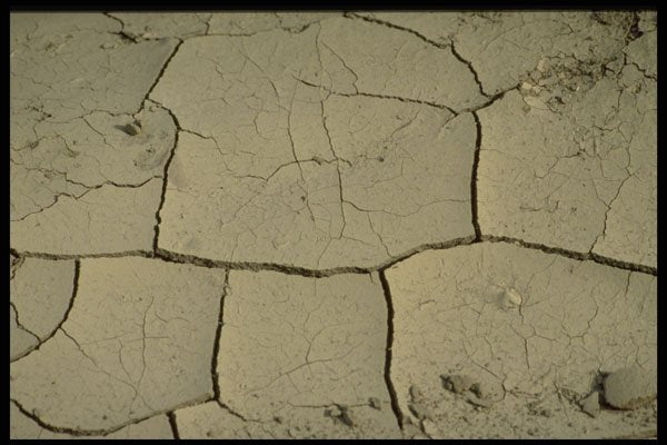 751006 Cracked Mud A4 Photo Print