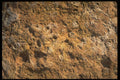 751010 Sandstone, Trinidad A4 Photo Print