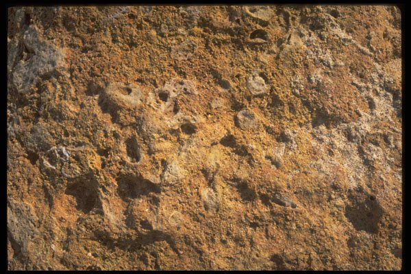 751010 Sandstone, Trinidad A4 Photo Print