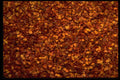 751018 Chili Flakes A4 Photo Print