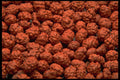 751022 Candy Peanuts A4 Photo Print
