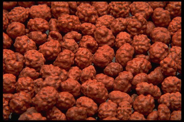 751022 Candy Peanuts A4 Photo Print