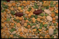 751023 Soup Mix A4 Photo Print