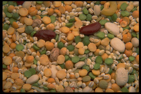 751023 Soup Mix A4 Photo Print