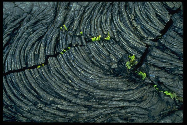 751027 Lava With Patterns, A Typical Pahoehoe A4 Photo Print
