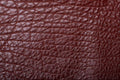751037 Brown Leather A4 Photo Print